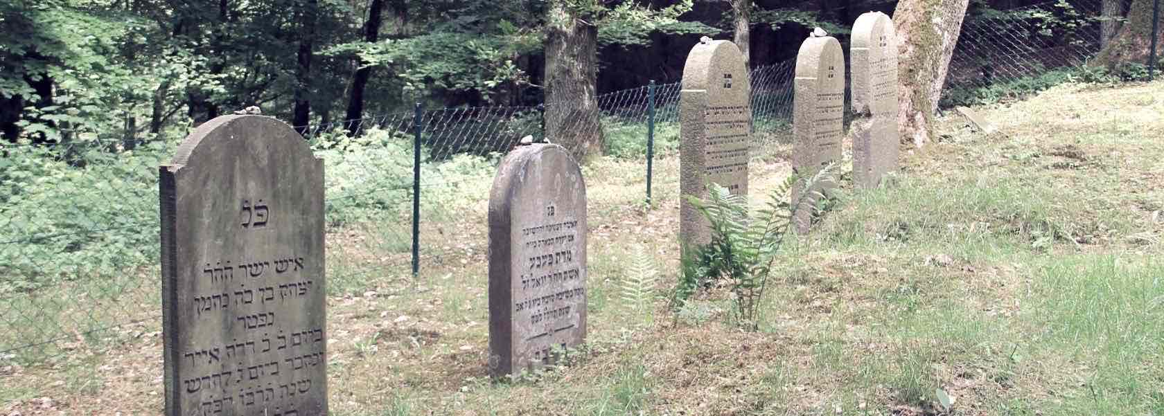 Friedhof Neustrelitz