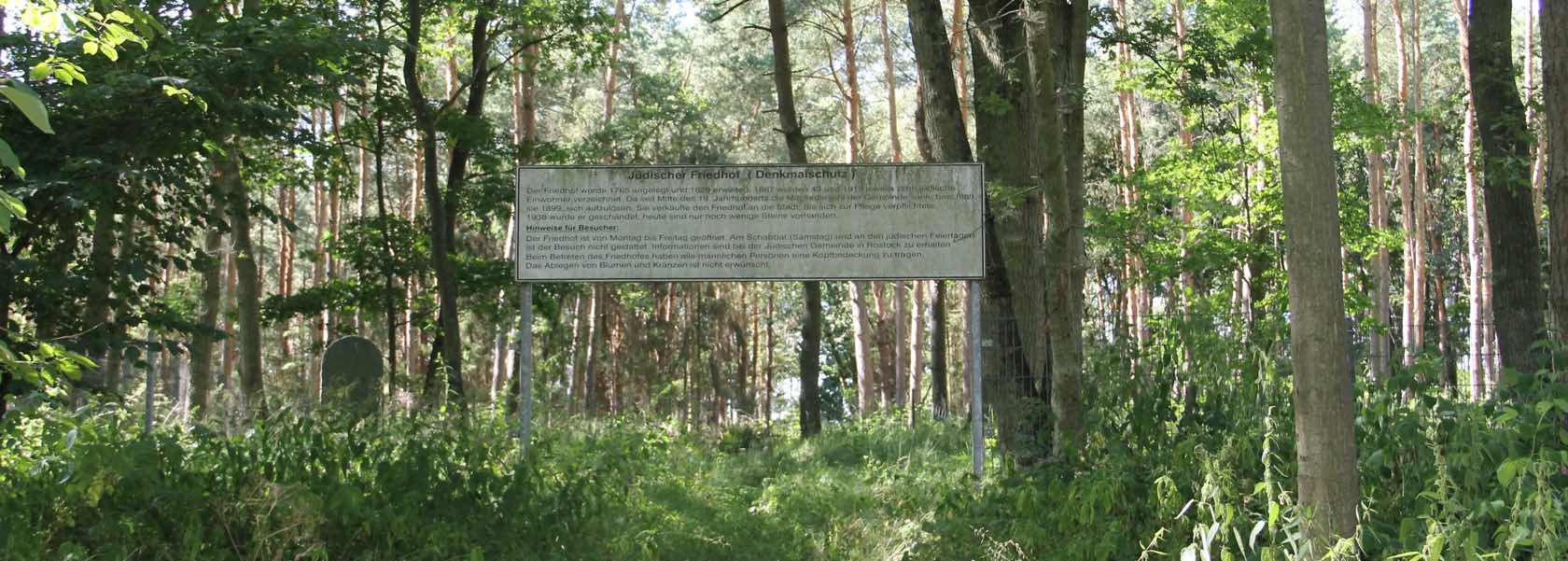 Friedhof Neukalen